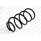 Ressort de Suspension Avant Pour Rover 75 Tourer GRS417 REB000800 REB101430