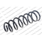 Ressort de Suspension Arrière Pour Dacia Sandero 550209436R