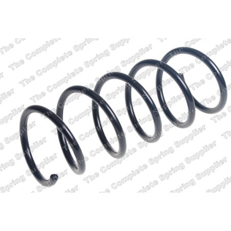 Ressort de Suspension Arrière Pour Dacia Duster 550202710R