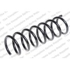 Ressort de Suspension Arrière Pour Ford C-Max 1365892 1365900 1377694