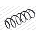 Ressort de Suspension Arrière Pour Renault Laguna III 550200002R 550200003R