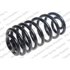 Ressort de Suspension Arrière Pour Renault Kangoo 550205460R 550209671R