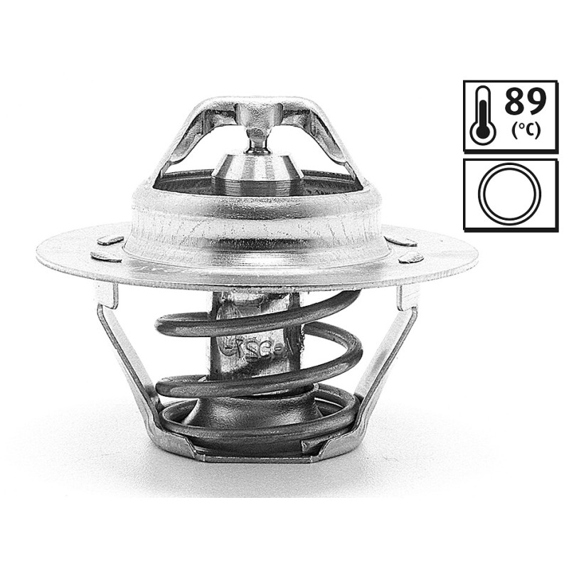 Thermostat D'Eau Pour Peugeot Renault Fiat Citroën AX 9619637980 7700723945