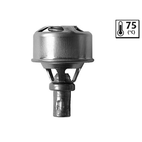 Thermostat D'Eau Pour Renault 5 15 16 18 Fuego Trafic 7700613673 7700862727
