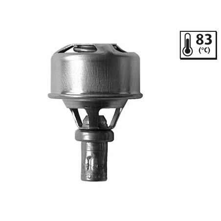 Thermostat D'Eau Pour Renault 9 10 11 15 19 I Dacia Volvo 7700575874 7701348376