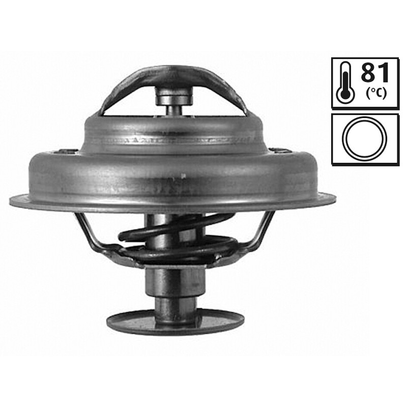 Thermostat D'Eau Pour Peugeot Renault Ford Citroën 1337-64 7700665226 1612191