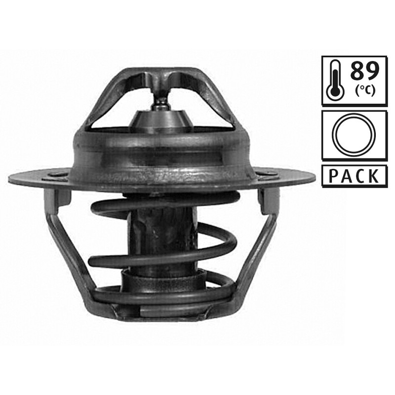 Thermostat D'Eau Pour Renault 14 Dacia Opel Vauxhall 7700866896 4402719 9110719