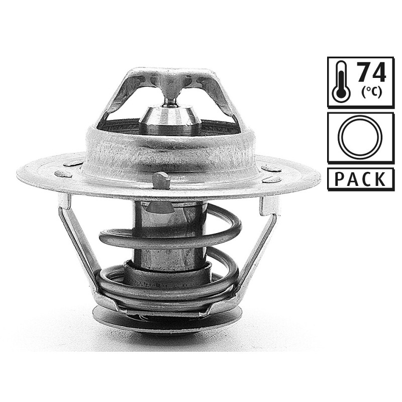 Thermostat D'Eau Pour Renault Seat Opel Fiat 5000816924 4400106 4703625 4742229