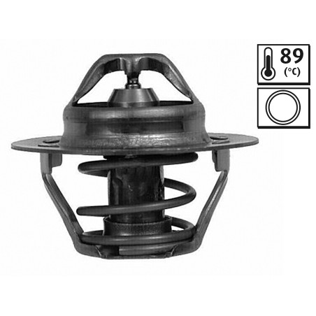 Thermostat D'Eau Pour Renault Dacia Opel Nissan 7700272554 7700872554 4408334