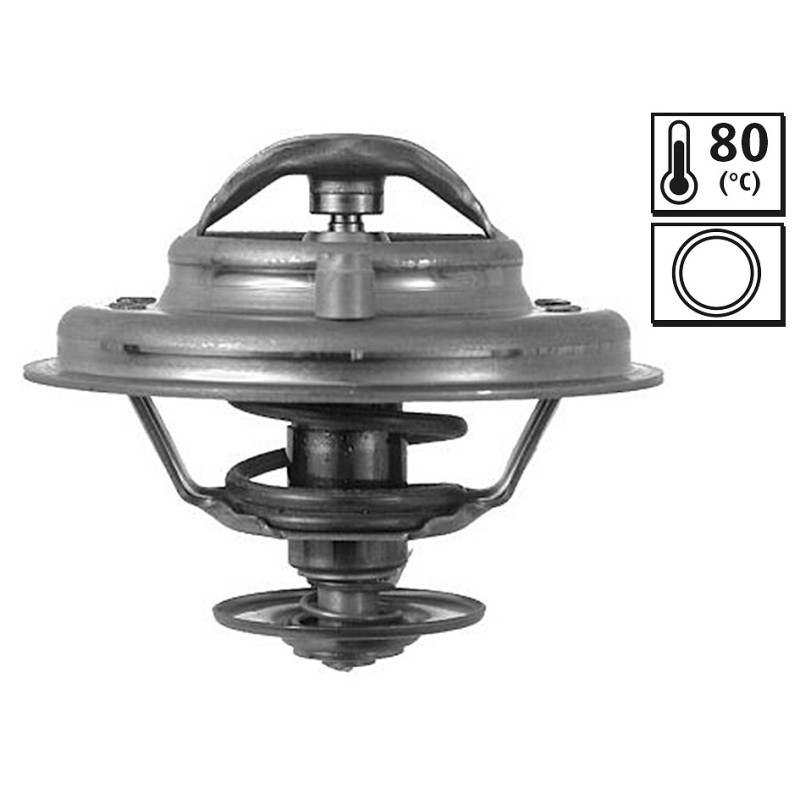 Thermostat D'Eau Pour VW Seat BMW Opel 075121113E 075121113D 11532243126 1338082