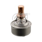 Thermostat D'Eau Pour Renault 19 I II 21 Clio Twingo 7700730540