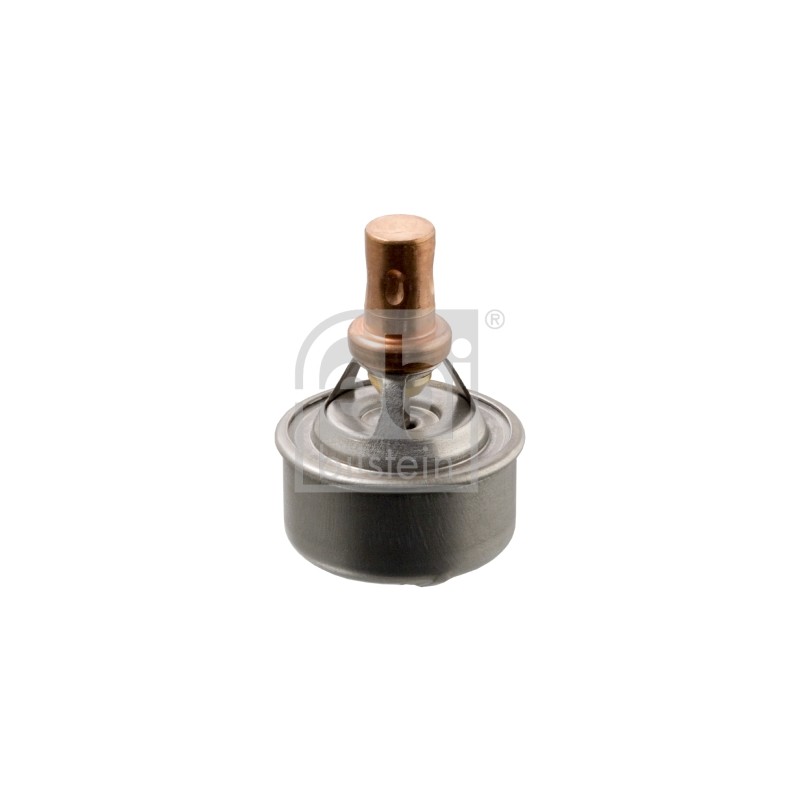 Thermostat D'Eau Pour Renault 19 I II 21 Clio Twingo 7700730540