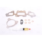 Turbo Pour Renault Dacia Nissan 144100054R 1441000QAA 144100054RA 144105784R