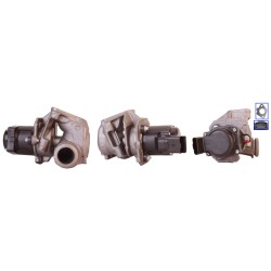 Vanne EGR Pour Peugeot Fiat Ford Suzuki 161859 71794020 1338675 18520-69K02