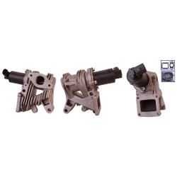 Vanne EGR Pour Renault Grand Scénic II Laguna Megane 8200463548 8200467059