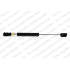 Vérin De Coffre Pour Audi A4 8D5827552C