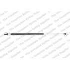 Vérin De Coffre Pour BMW Série 3 E46 51247038248 51247118885 51248251547