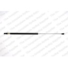 Vérin De Coffre Pour Citroën Xsara 873100 8731E3