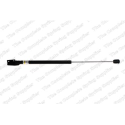 Vérin De Coffre Pour Peugeot Citroën Mitsubishi 1617189480 5802A007 8731Q1