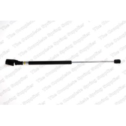 Vérin De Coffre Pour Peugeot Citroën Mitsubishi 1617189580 5802A008 8731Q2