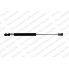 Vérin De Coffre Pour Citroën C5 III 8731R7