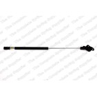 Vérin De Coffre Pour Kia Picanto 81770-07000 8177007001 8177007020 8177007021