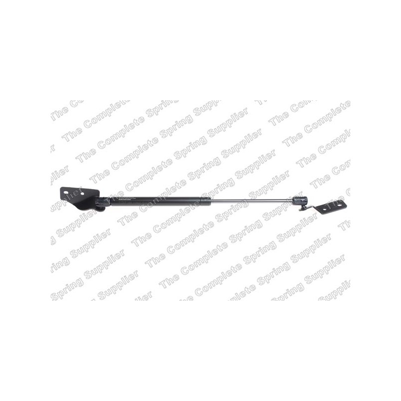 Vérin De Coffre Pour Nissan Pixo Suzuki Alto 904504A00D 81850M68K00