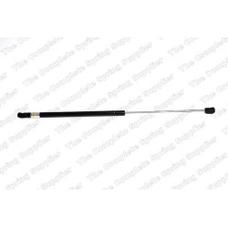 Vérin De Coffre Pour Peugeot 306 8731.93