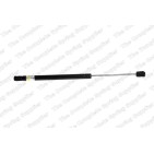 Vérin De Coffre Pour Peugeot 405 I II 8731.83