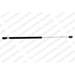 Vérin De Coffre Pour Peugeot 106 II 8731.91 8731G0