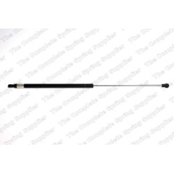 Vérin De Coffre Pour Peugeot 306 8731.E1