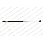 Vérin De Coffre Pour Peugeot 307 7925.15