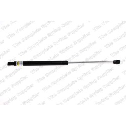 Vérin De Coffre Pour Peugeot 307 7925.15