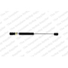 Vérin De Coffre Pour Peugeot 407 Audi A5 8731K4 8F0827550 8731J5 8F0827550A