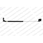 Vérin De Coffre Pour Suzuki Alto 81850M79G01 81850M79G01-000 81850M79G10