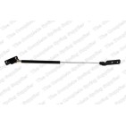 Vérin De Coffre Pour Suzuki Ignis I II 81860-80G00-000 81860-86G00