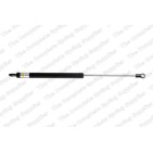 Vérin De Coffre Pour VW Golf I 155827550 155827550A 155827550B