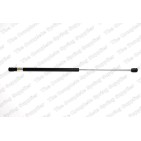 Vérin De Coffre Pour VW New Beetle 1C0827550A 1C0827550B 1C0827550D 1C0827550F