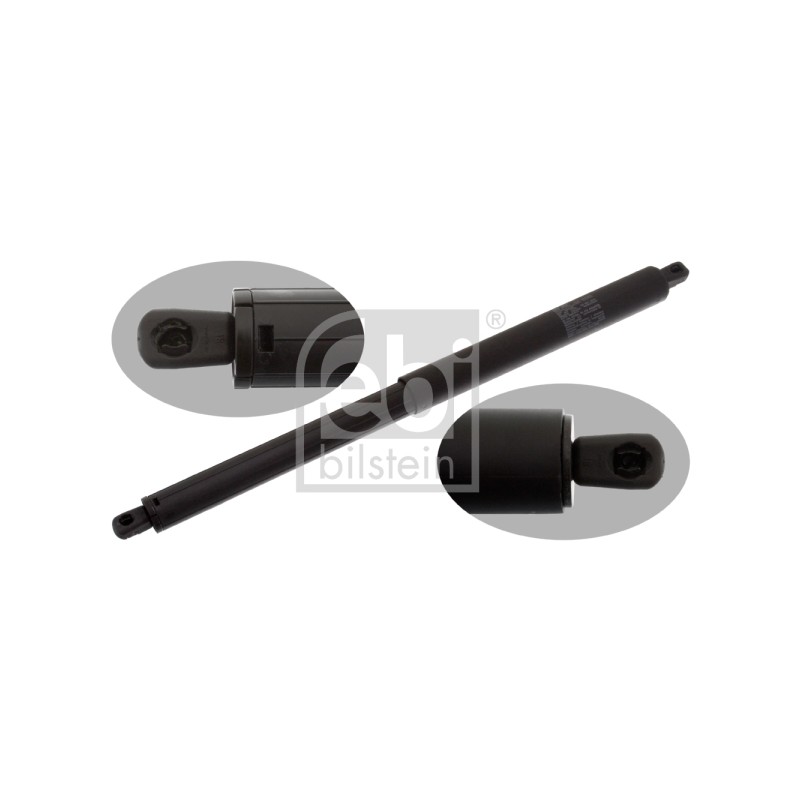 Vérin De Coffre Pour BMW X5 51247177283 51247294199