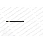 Vérin De Capot Pour BMW Série 6 E24 7 E23 11811869147 51231869147