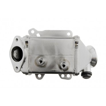 Refroidisseur De Vanne Egr Pour Mito Fiat Tipo Qubo Punto Fiorino 500x 55249454