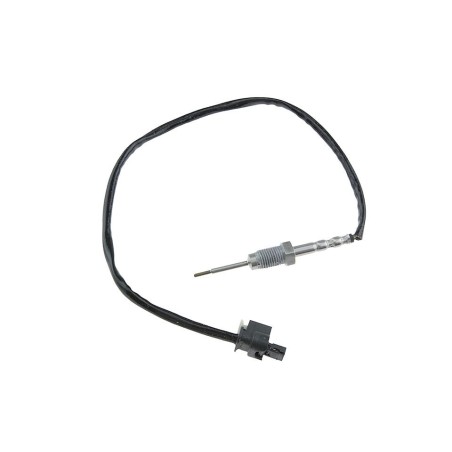Sonde Température Gaz Pour Bmw Série 1 3 5 X1 X3 13627806254