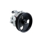Pompe De Direction Assistée Pour Dacia Renault Duster 491105510r