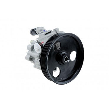 Pompe De Direction Assistée Pour Dacia Renault Duster 491105510r