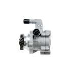 Pompe De Direction Assistée Pour Nissan Patrol Gr V Wagon Terrano 49110vc100