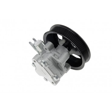 Pompe De Direction Assistée Pour Santa Fé Kia Sorento 2.0/2.2 Crdi 571002p010