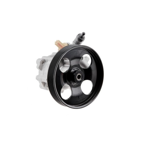 Pompe De Direction Assistée Pour Citroën Berlingo Peugeot Partner Tepee 4007tq