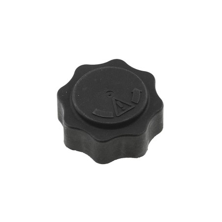 Bouchon Vase D'expansion Pour Defender Freelander Mini 45 I 400 25 17107515499