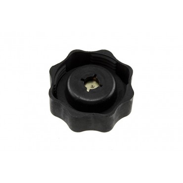Bouchon Vase D'expansion Pour Defender Freelander Mini 45 I 400 25 17107515499