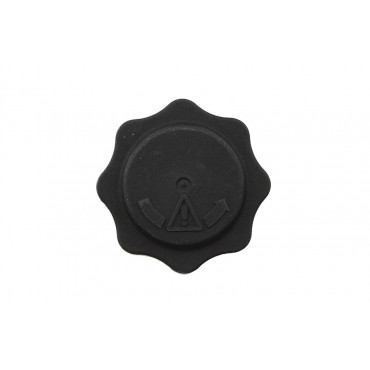Bouchon Vase D'expansion Pour Defender Freelander Mini 45 I 400 25 17107515499